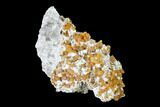 Orange Stilbite, Clinozoisite and Calcite Association - Poland #148417-1